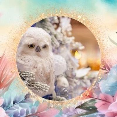 Portrait of creator whimsywishlist