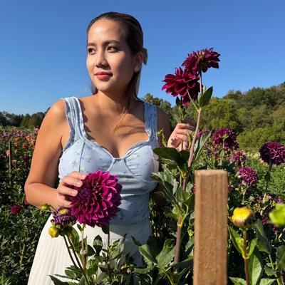 Portrait of creator dejournal8