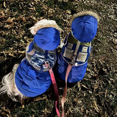 Portrait of creator thepuppytoddlers