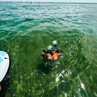 Portrait of creator kait102015