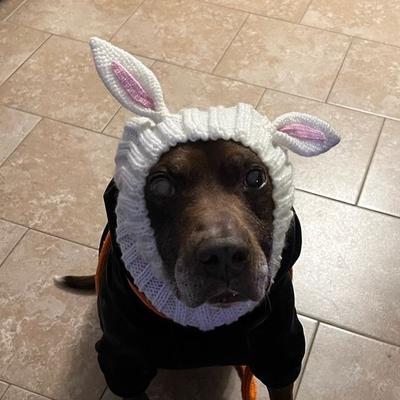 Portrait of creator justtravelynn