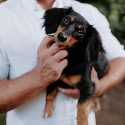 Portrait of creator mammamiadoxie1