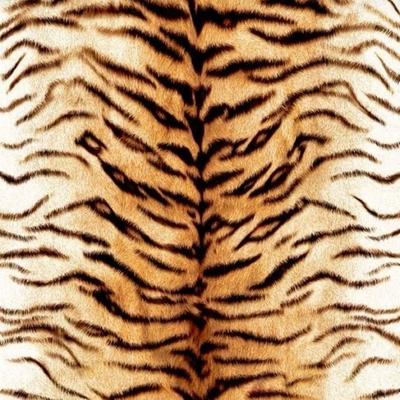 Portrait of creator shelbyradfar