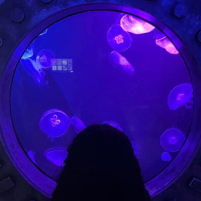 Portrait of creator .grwmhailey_