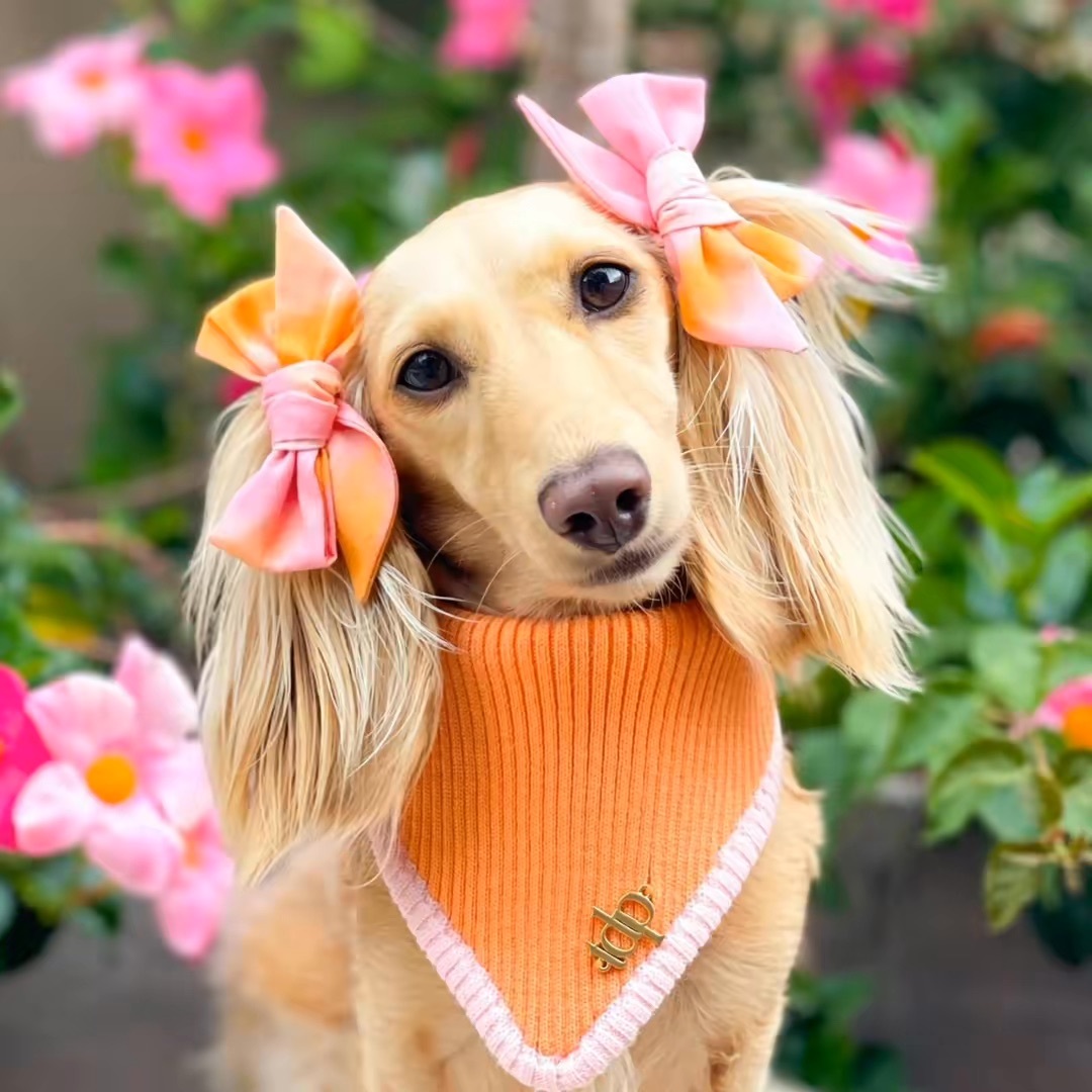 Portrait of creator clementinethedox