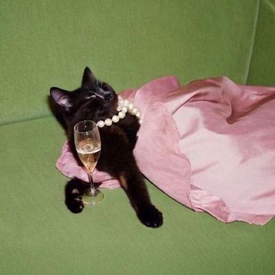 Portrait of creator brdymary