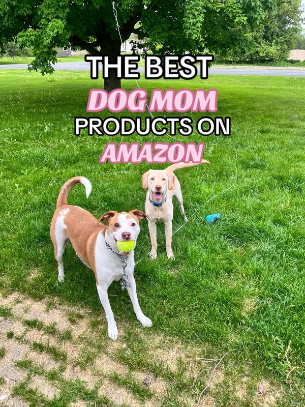 Post by megsovereasyy