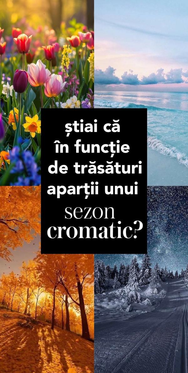 Post by truecolorsstudio