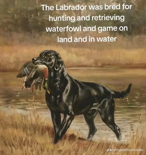 Post by itskelseyfox