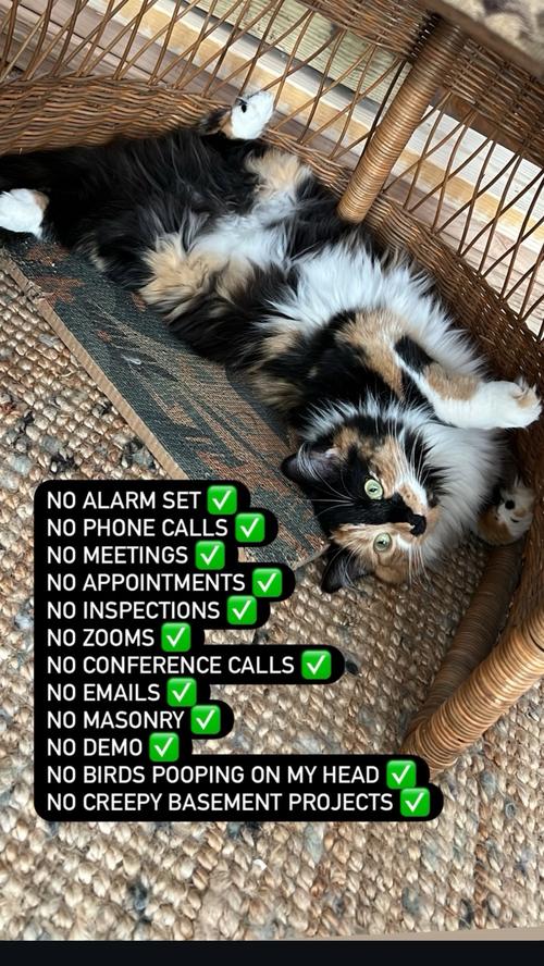 Post by mychurchofchaos