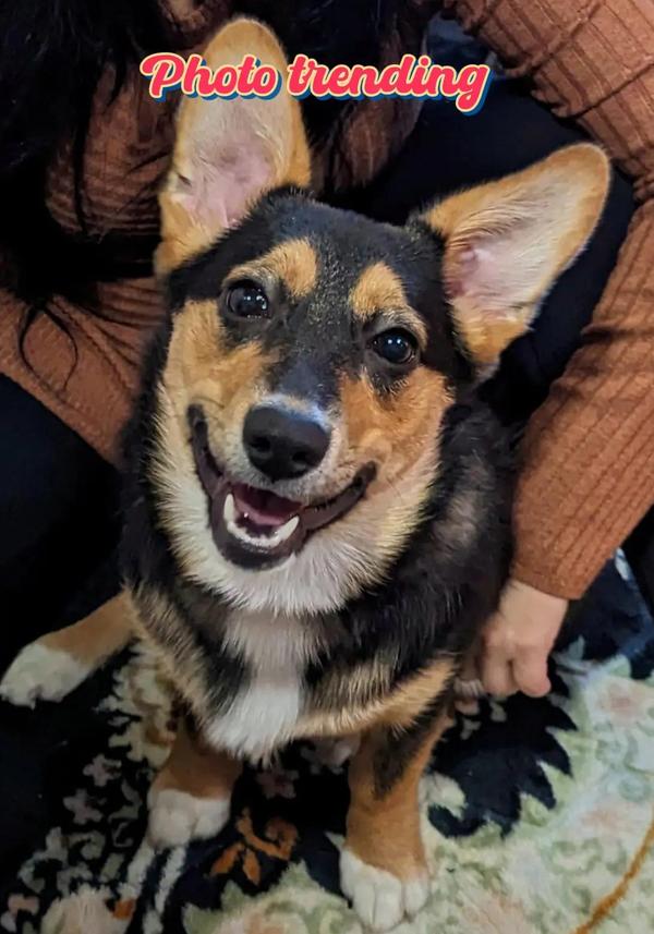 Post by viralvibes365hub