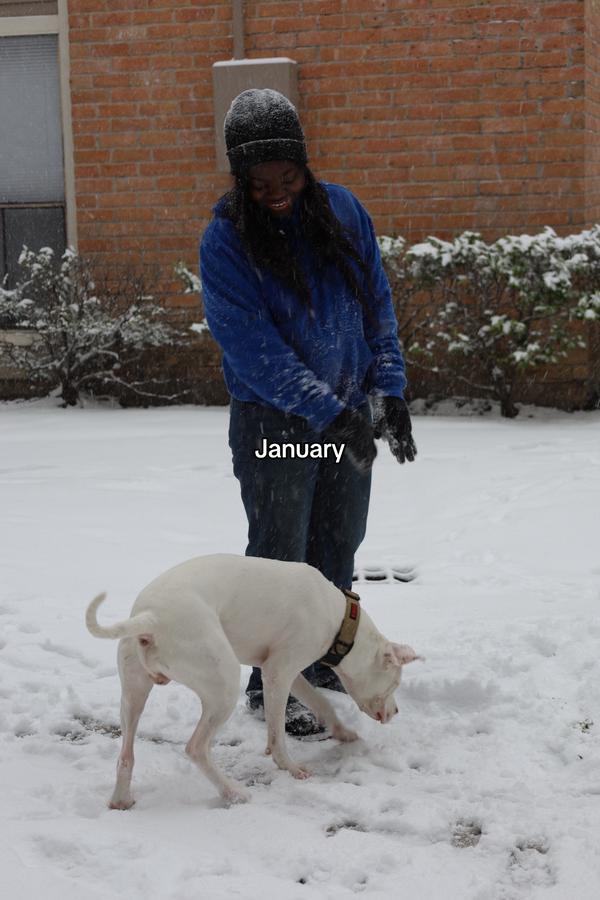 Post by officiallymini