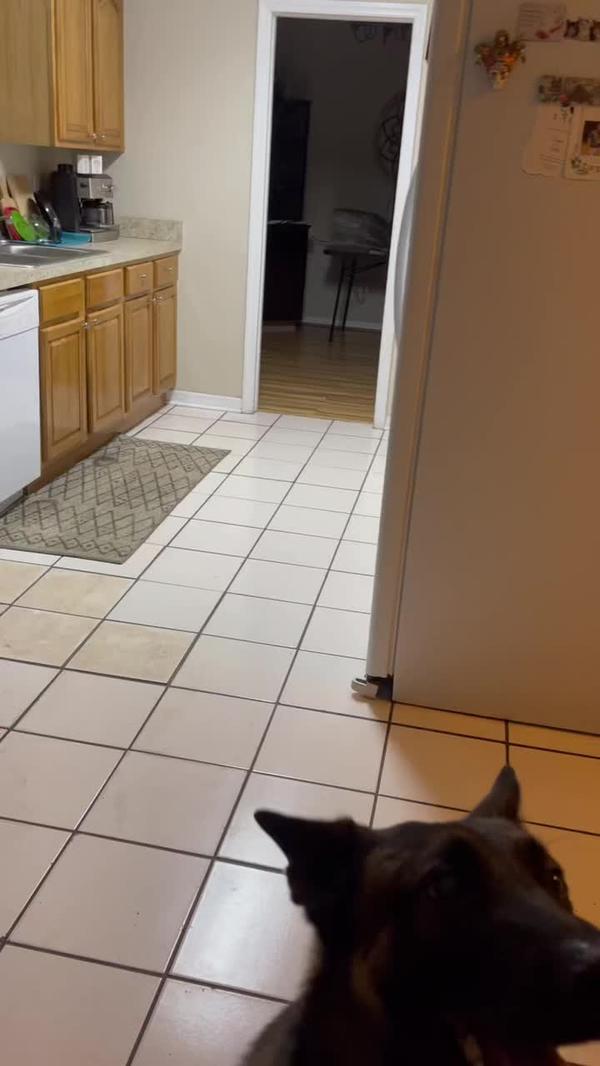 Post by oakleysfunnyfarm