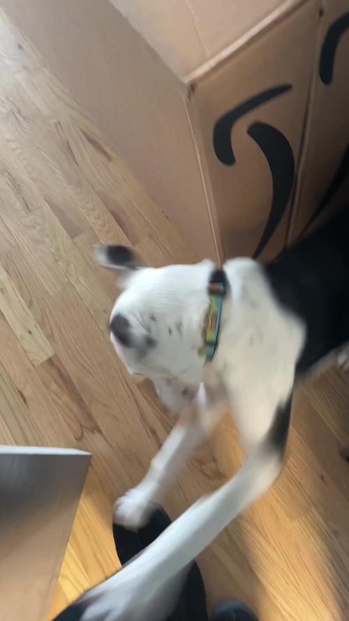 Post by nicoleeeburns