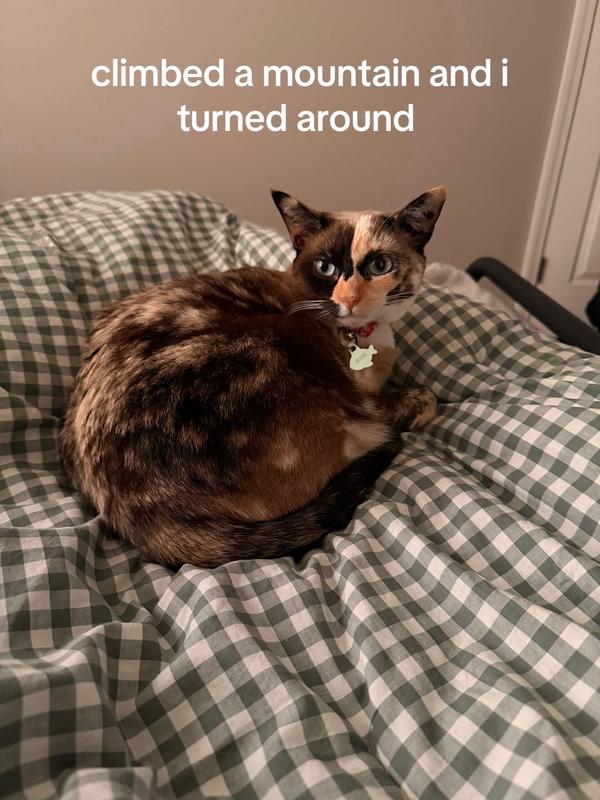 Post by blondesbybriley