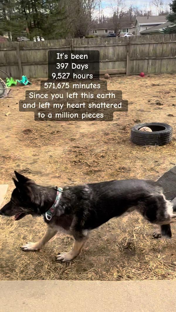 Post by ashleys_urban_homestead