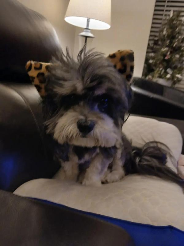 Post by christie3496