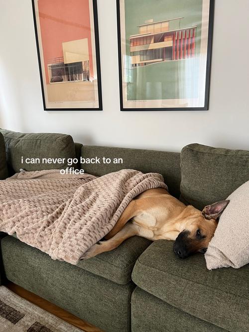 Post by juleswiththebob