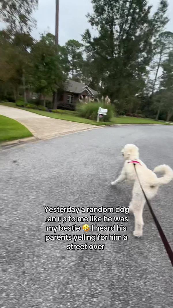 Post by marissacampbell111