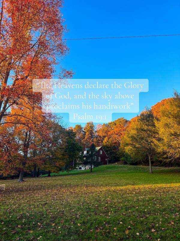 Post by cheyenne.brewer