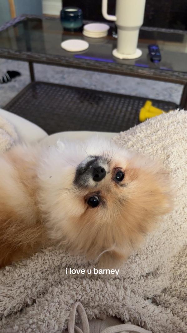 Post by berardbrayden