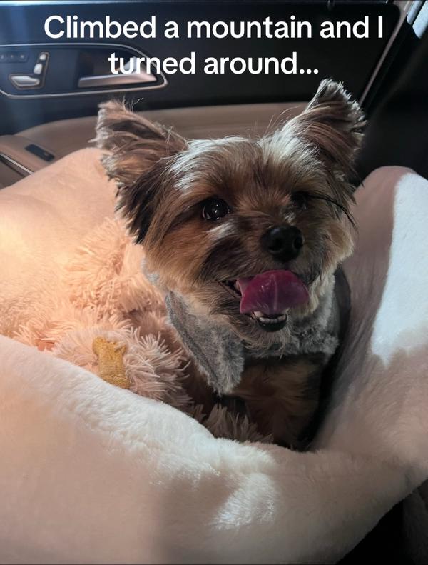 Post by haleyrgagnon