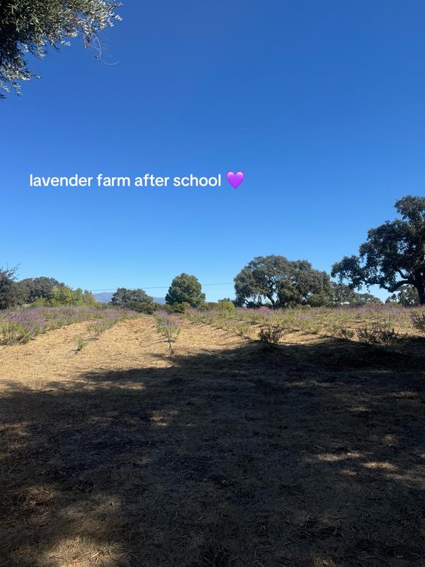 Post by al3xism4rtinez