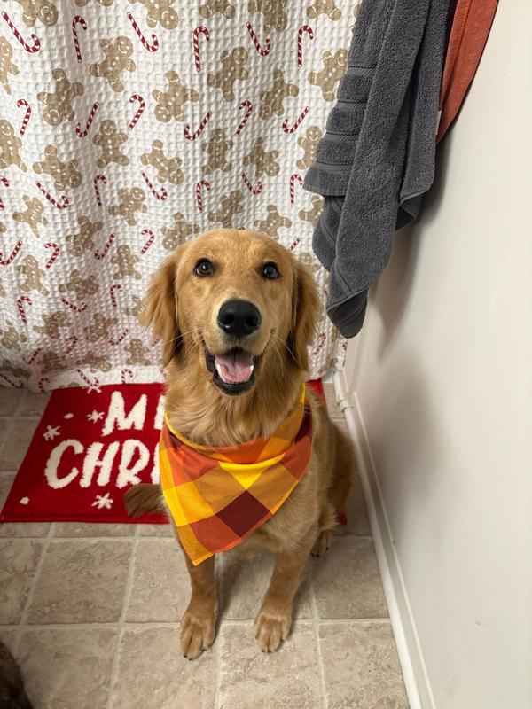 Post by kayleemakenz