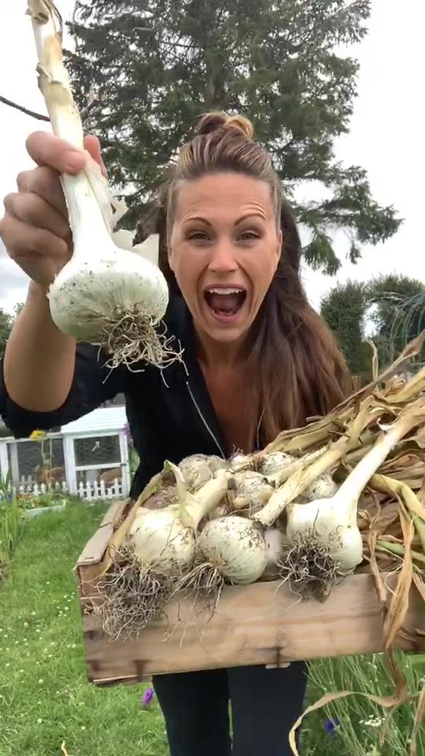 Post by augusts_garden