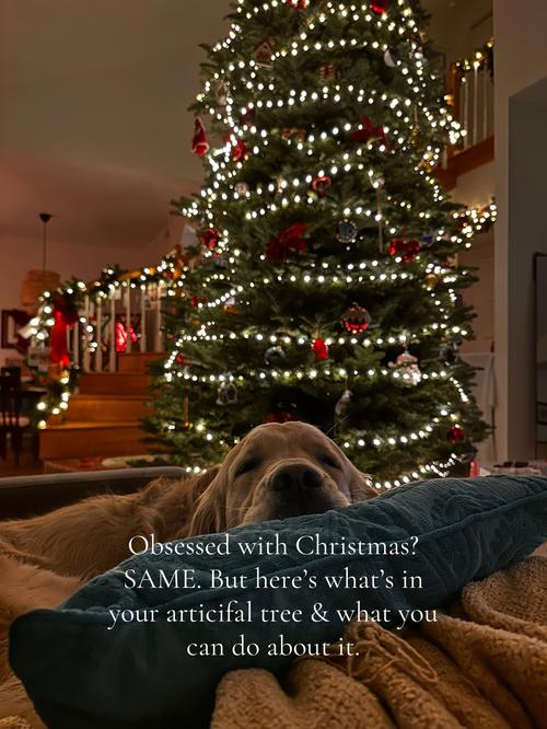 Post by untoxedunbothered