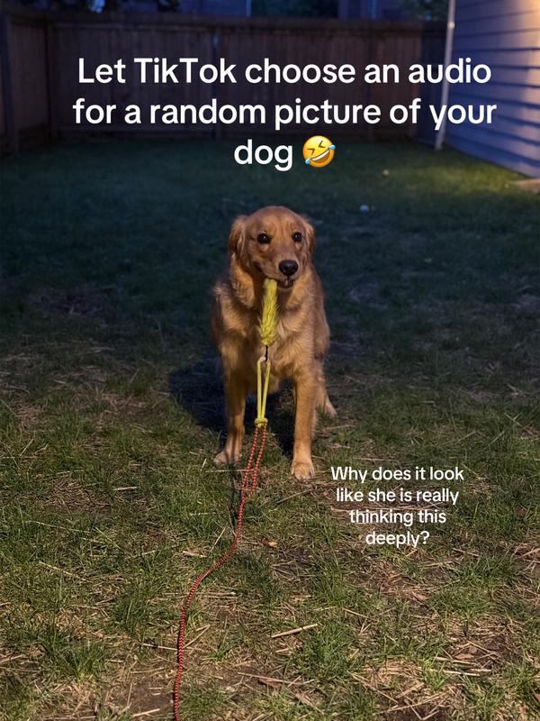 Post by luxedailyfinds