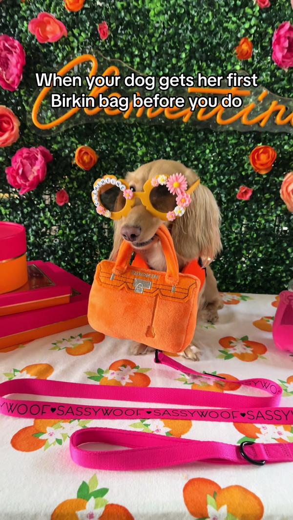 Post by clementinethedox