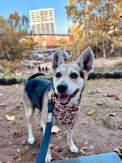 Post by blackvelvetchic.tok