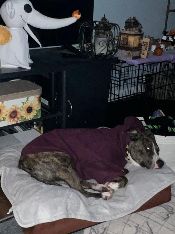 Post by justtravelynn