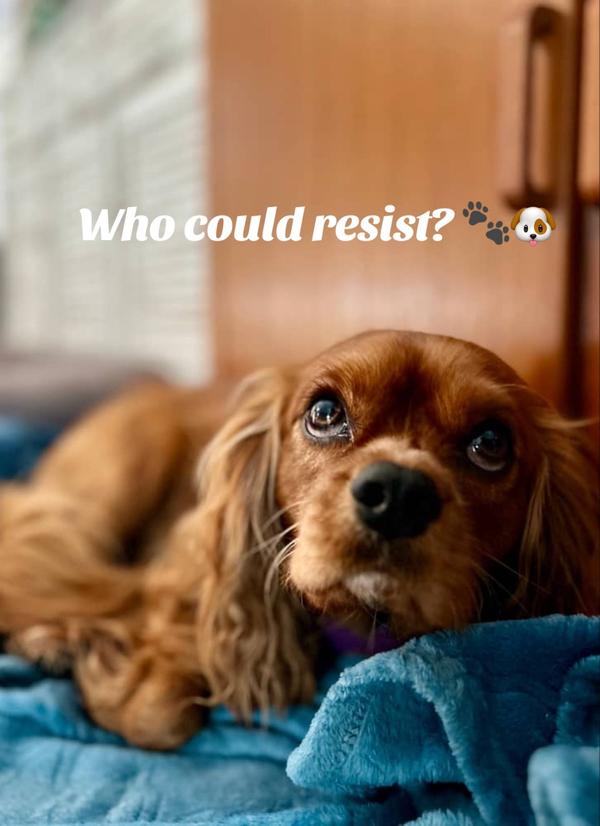 Post by joyforthejourney333