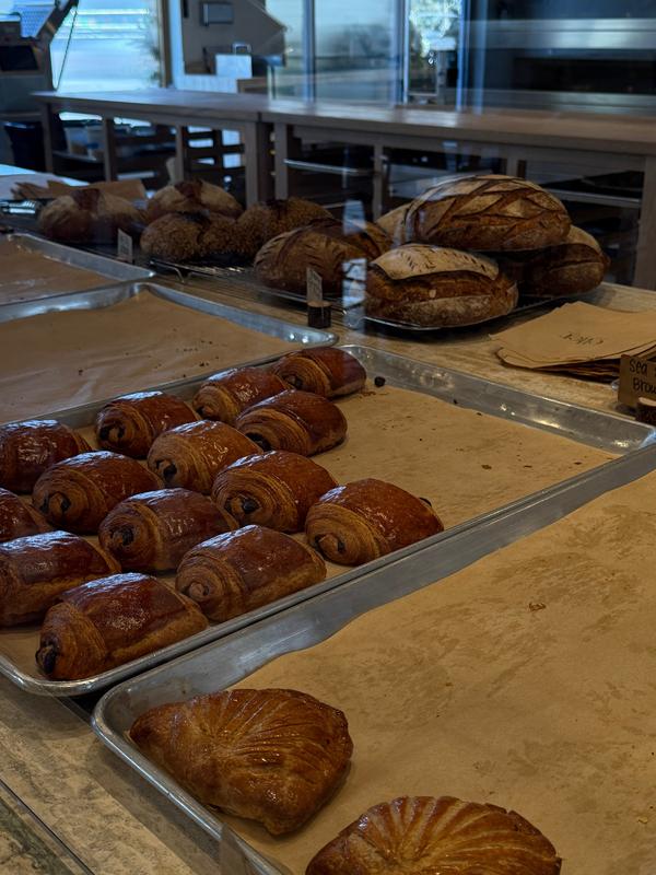 Post by claudiarosecorzan