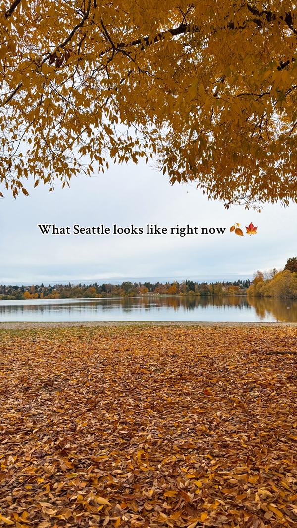 Post by alison.m.bagley