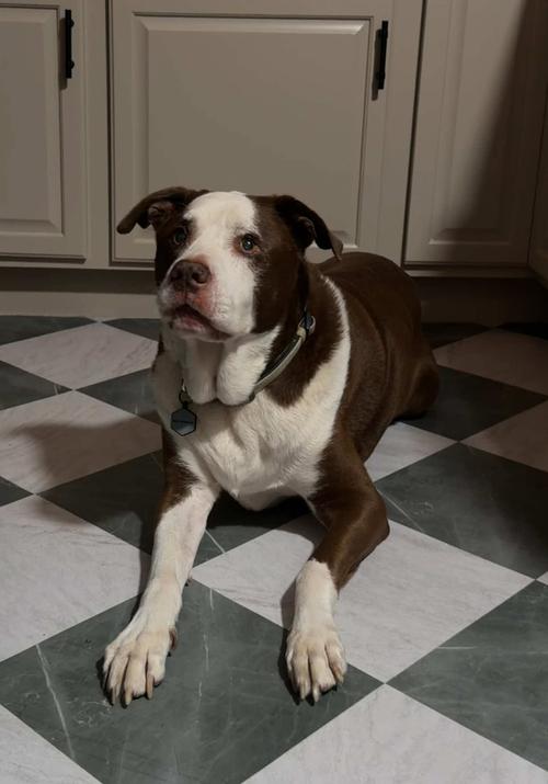 Post by itsgreggheadd