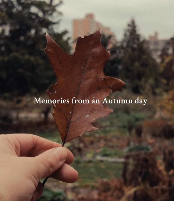 Post by literarywindwhispers