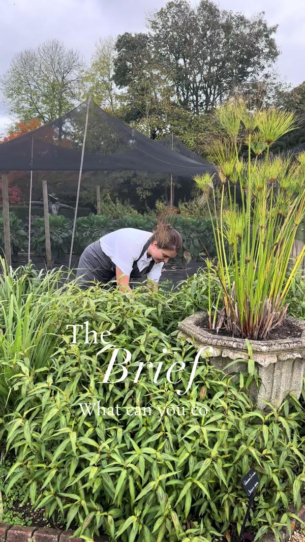 Post by augusts_garden