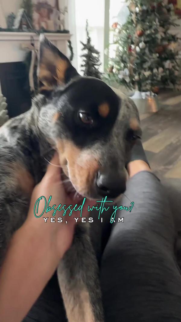 Post by shuannaewing