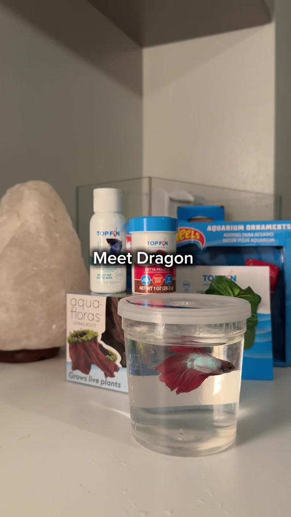 Post by styledbysumms