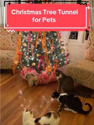 Post by clementinethedox