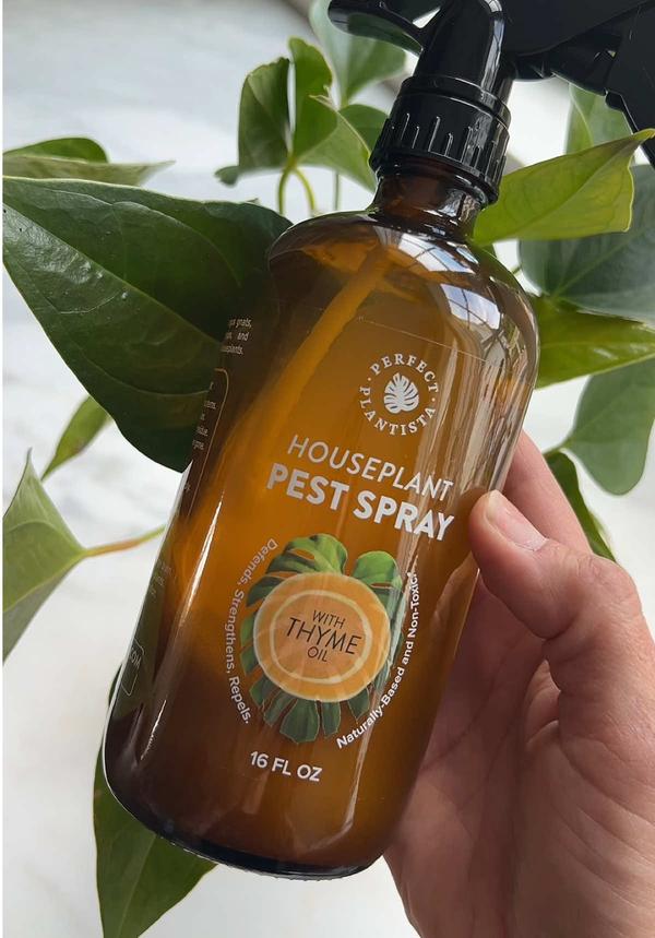 Post by mainegirlttshop