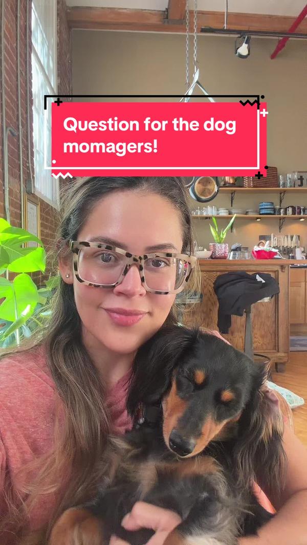 Post by mammamiadoxie1