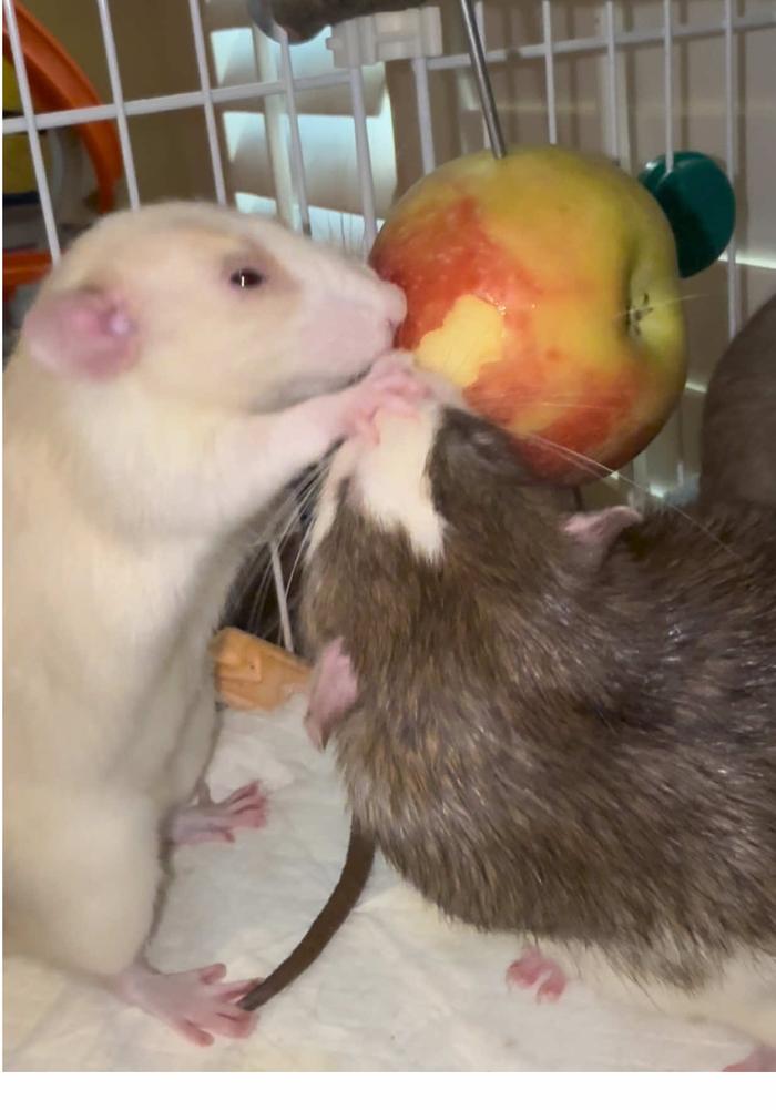 Post by kristin_the_mom