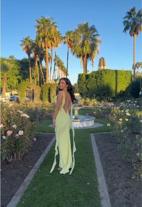 Post by persiangorbeh