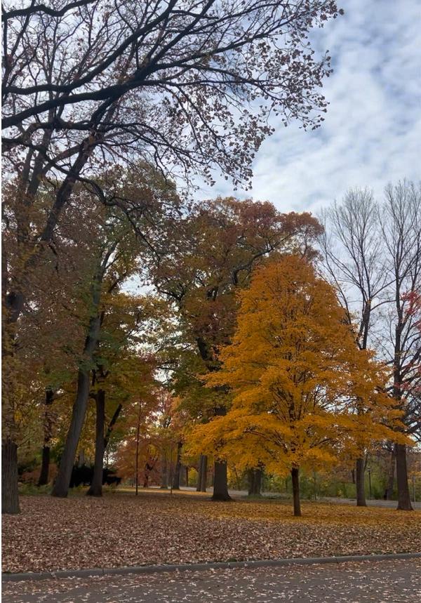 Post by livinglifesmoments