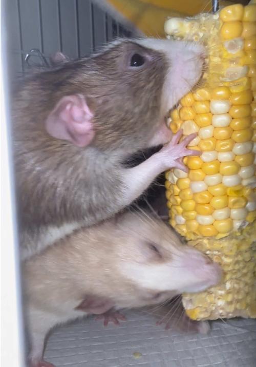 Post by kristin_the_mom