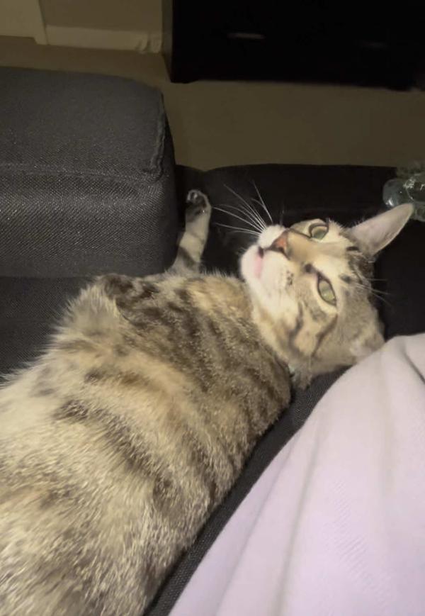 Post by areismanlife